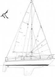 piewiet-820_sails.jpg