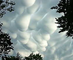 mammatus-clouds.jpg